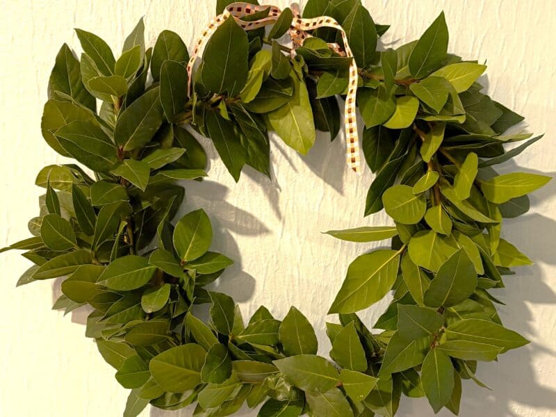 bay laurel holiday wreath