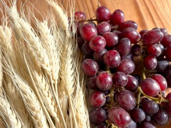 wheat and grapes to the table