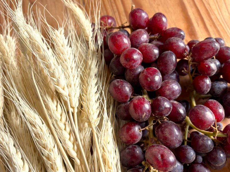 wheat and grapes to the table