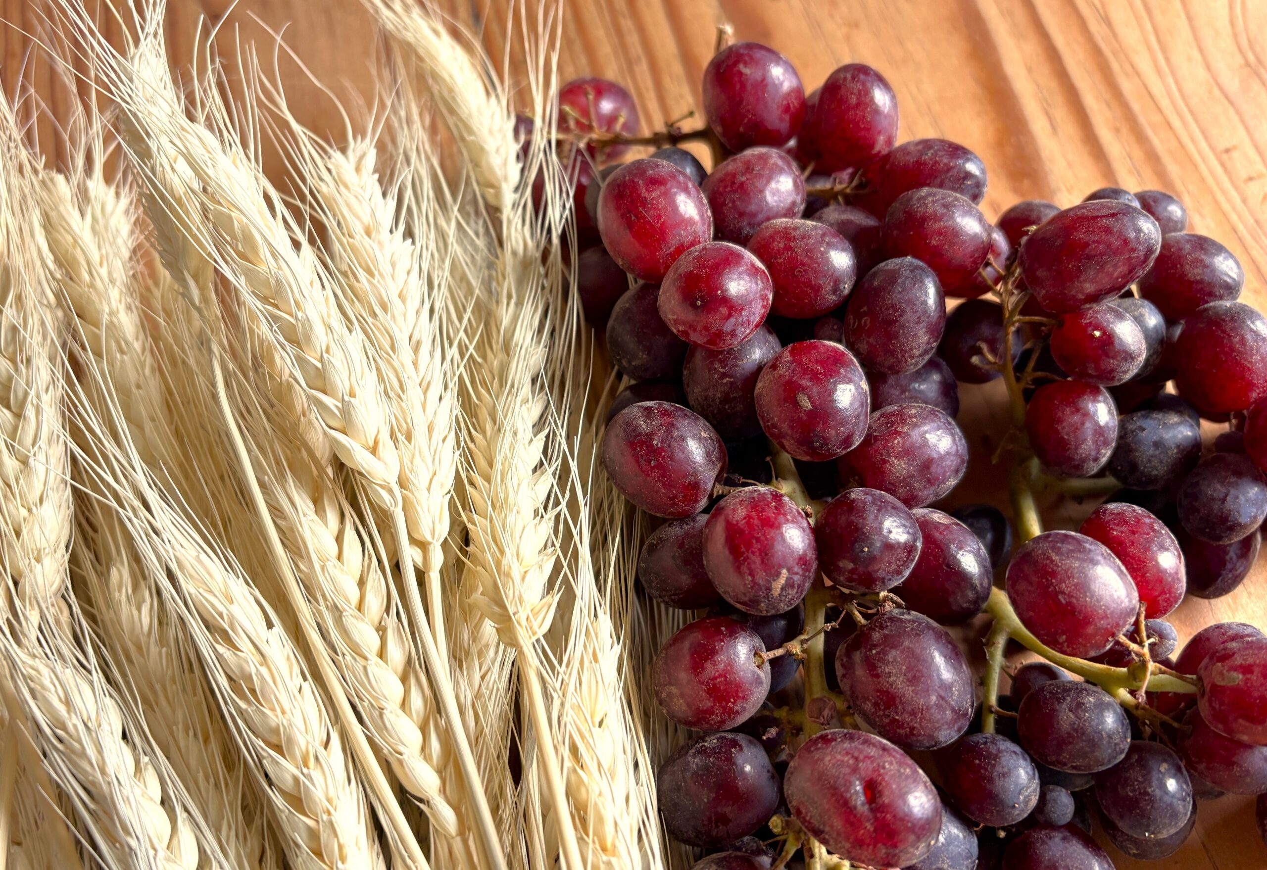 wheat and grapes to the table