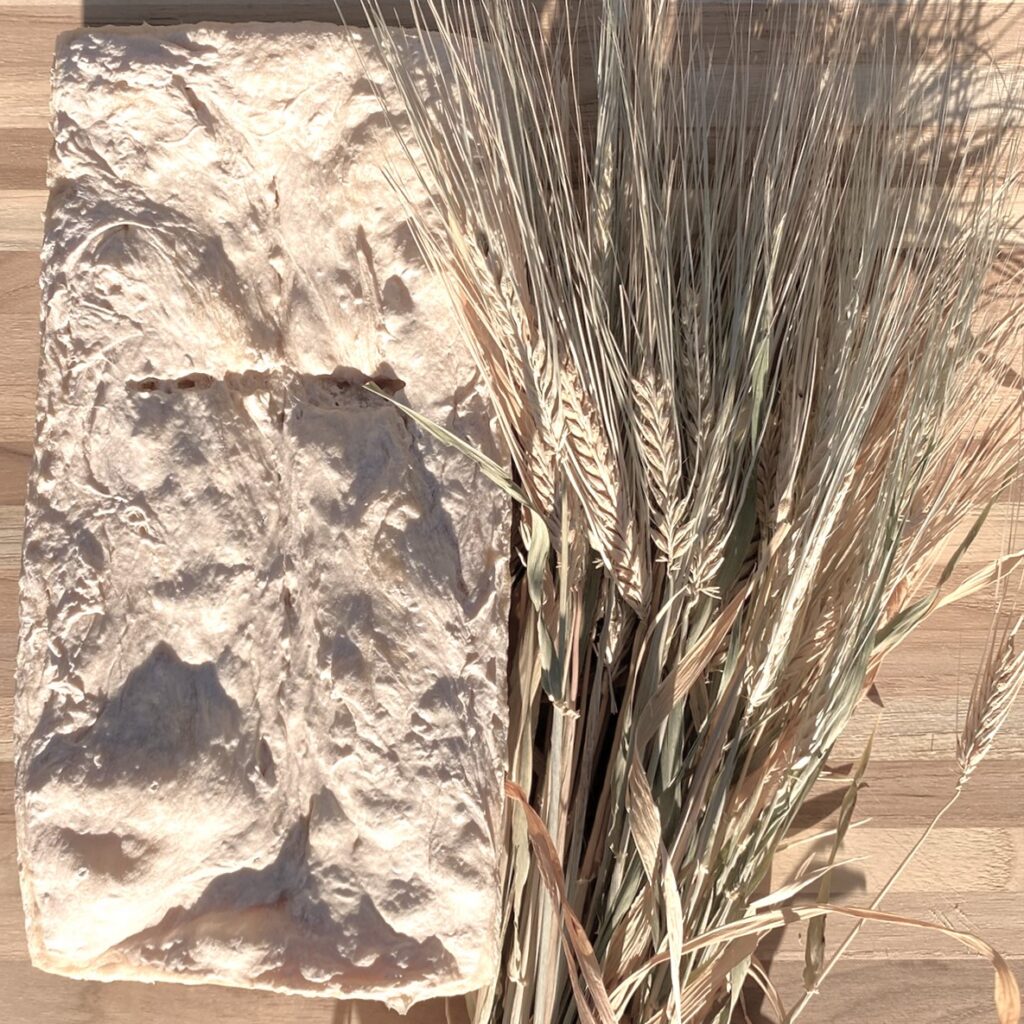 bread connects wheat and grapes to the table of the Lord