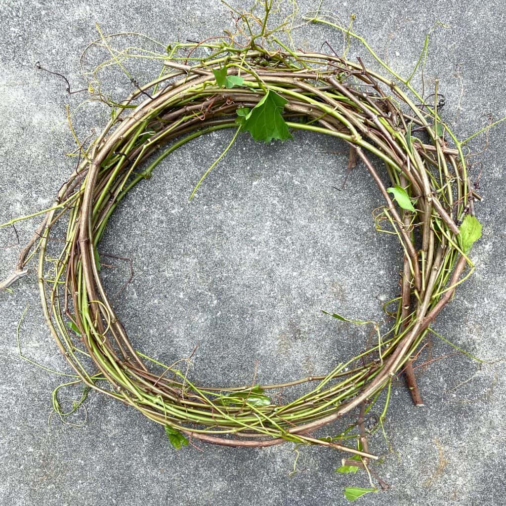 grapevine wreath from a grapevine grown in a garden, bringing wheat and grapes to the table