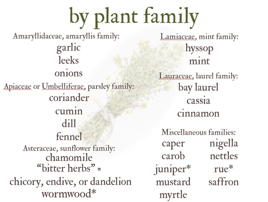26 herbs of the Bible by plant family, list produced by Shelley S. Cramm