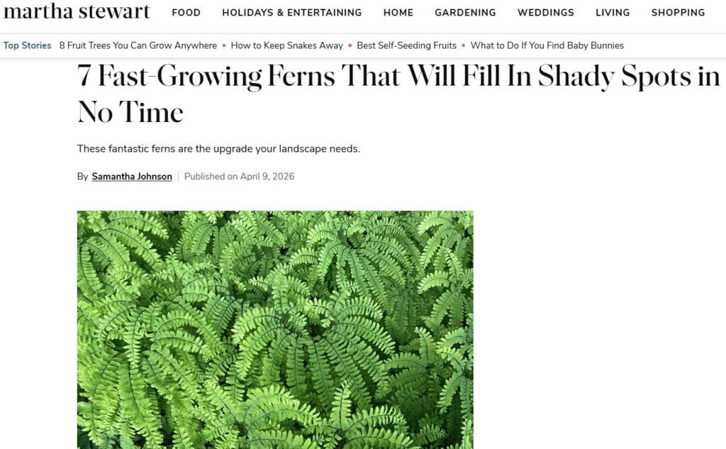 MarthaStewart.com article on ferns featuring Shelley S. Cramm