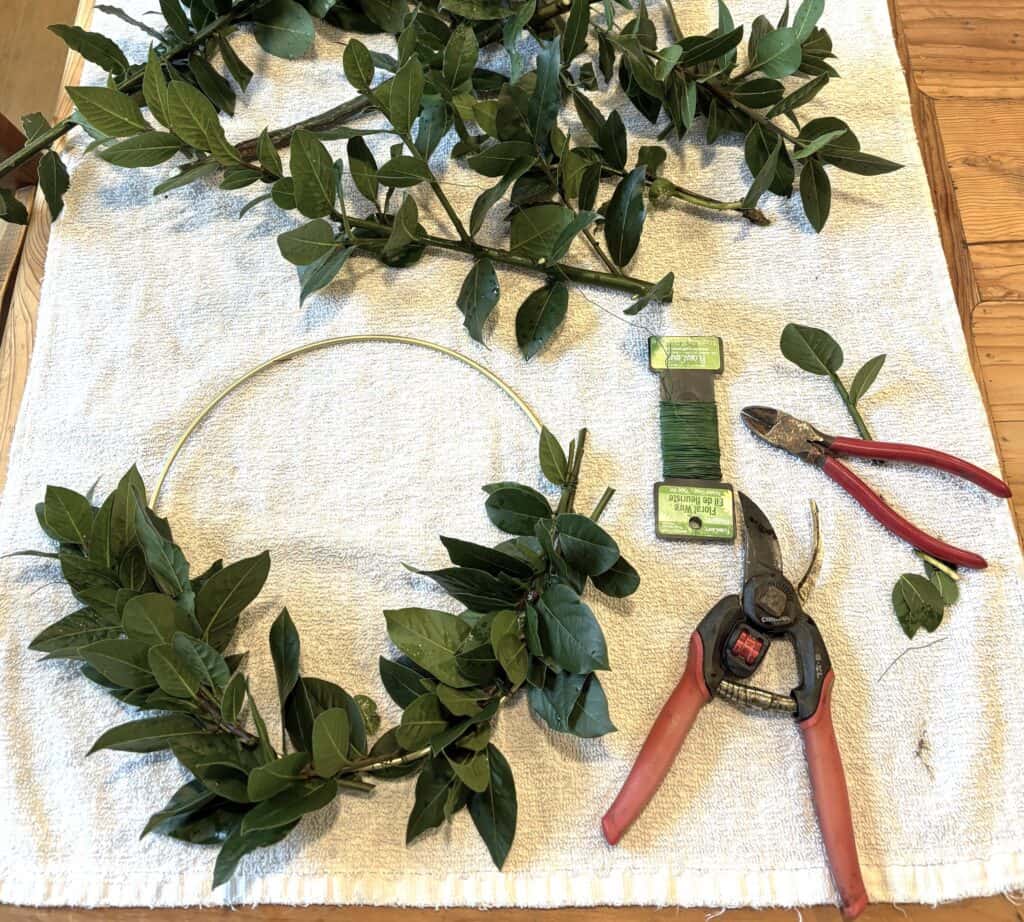 make a bay leaf wreath to enjoy all year as garden fresh leaves decorate and dry in place