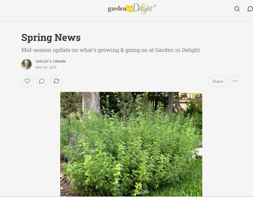 Garden in Delight News @ Substack - Spring news 2026