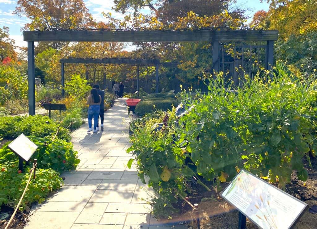 Herb Garden at Brooklyn Botanic Garden is featured in The Kitchen Garden. Photo by Shelley S. Cramm