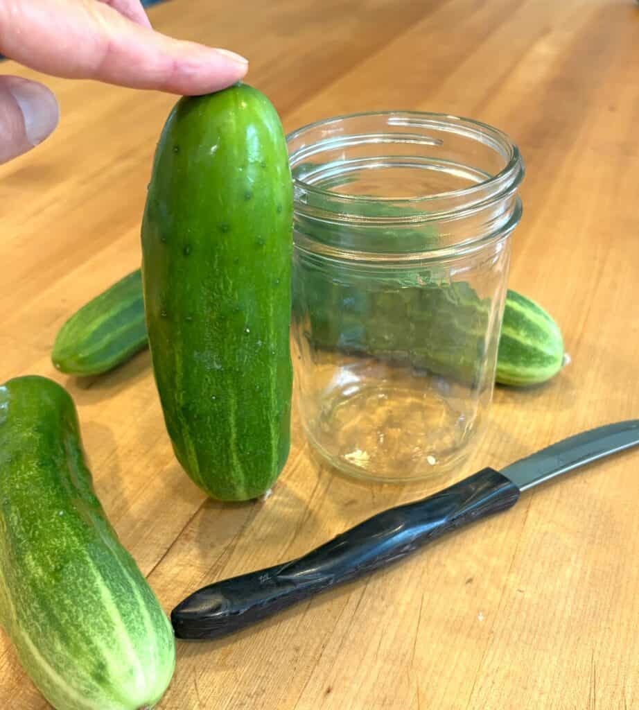 cutting cucumber for pickle recipe