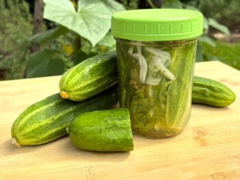 pickle recipe in a jar