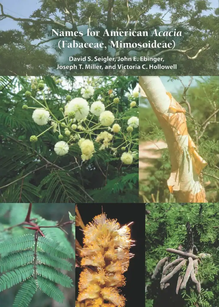 Names for American Acacia book cover, recently published by BRIT Press