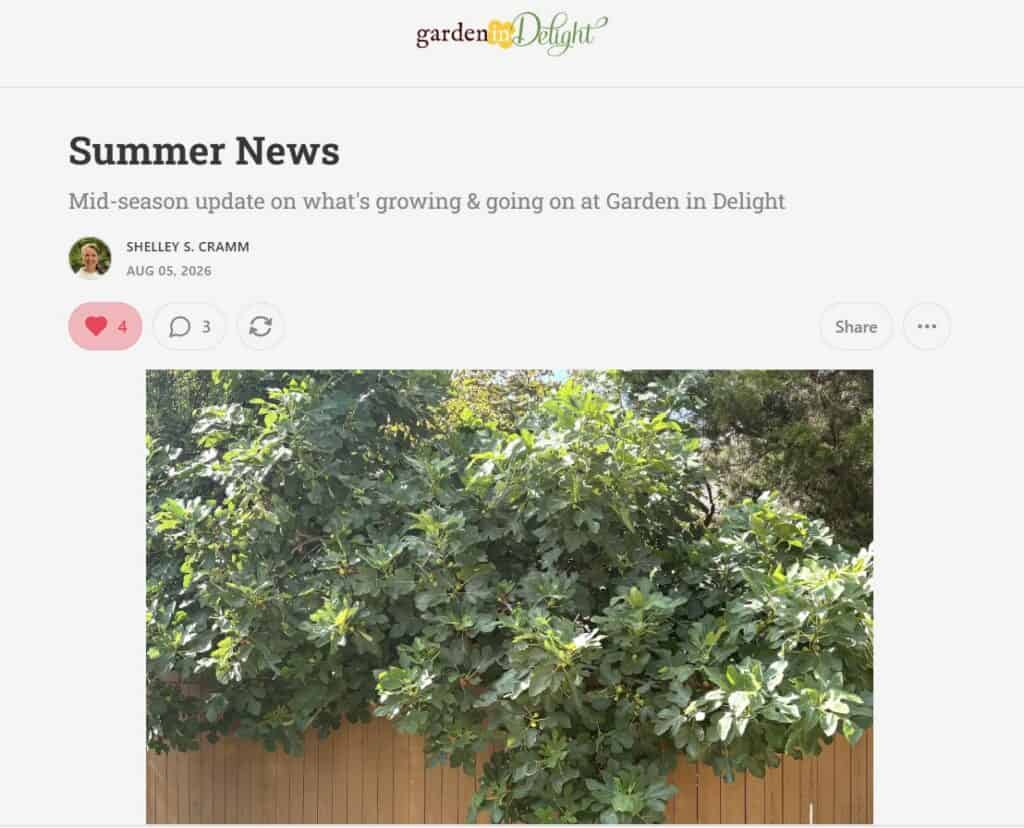 Garden in Delight News on Substack Summer 2026