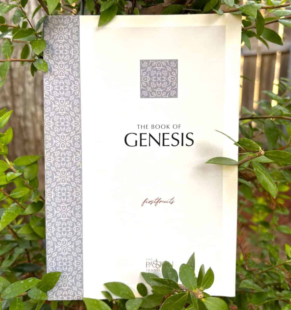 Genesis in The Passion Translation reveals the meanings of the names of the 4 rivers to water the Garden