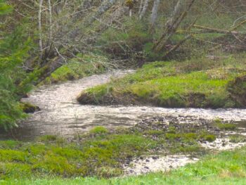 imagine 4 rivers branching in the Garden of Eden from this river scenery in Washington state