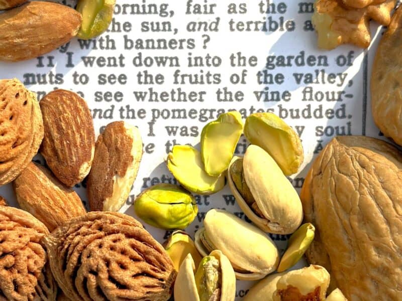 Nuts in the Bible centered around Song of Songs 6:11 written of the walnut tree