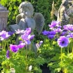 angel in wildflowers crown anemones